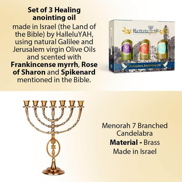 7 branched brass Menorah candelabra with Anointing Oil set made in Israel, featuring spiritual and decorative design with Grafted in symbol.