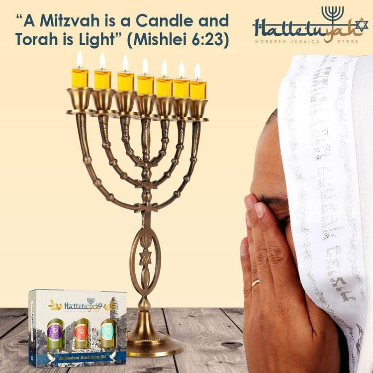 Brass 7 branched Menorah with grafted-in symbol, 12 inches high, with anointing oil set from Israel for Christian and Messianic Jewish décor.